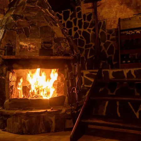 Safari Village 3*