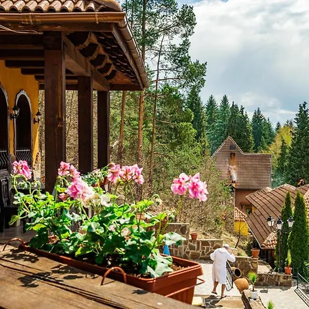 Safari Village Szálloda Velingrad