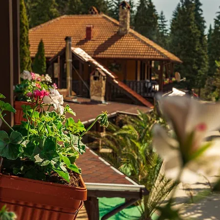 Safari Village Hotel Velingrad