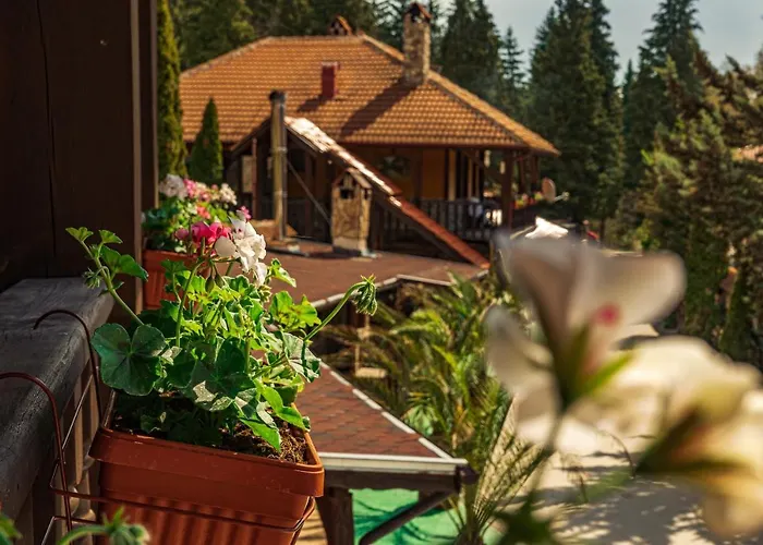 Safari Village Otel Velingrad